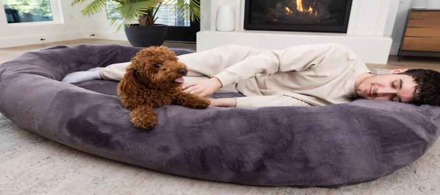 The Best Dog Beds for Large Breeds in 2024